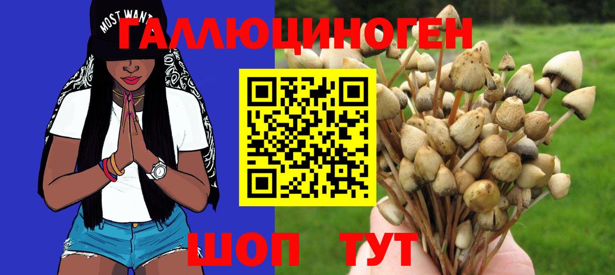 Галлюциногенные грибы ЛСД Буйнакск